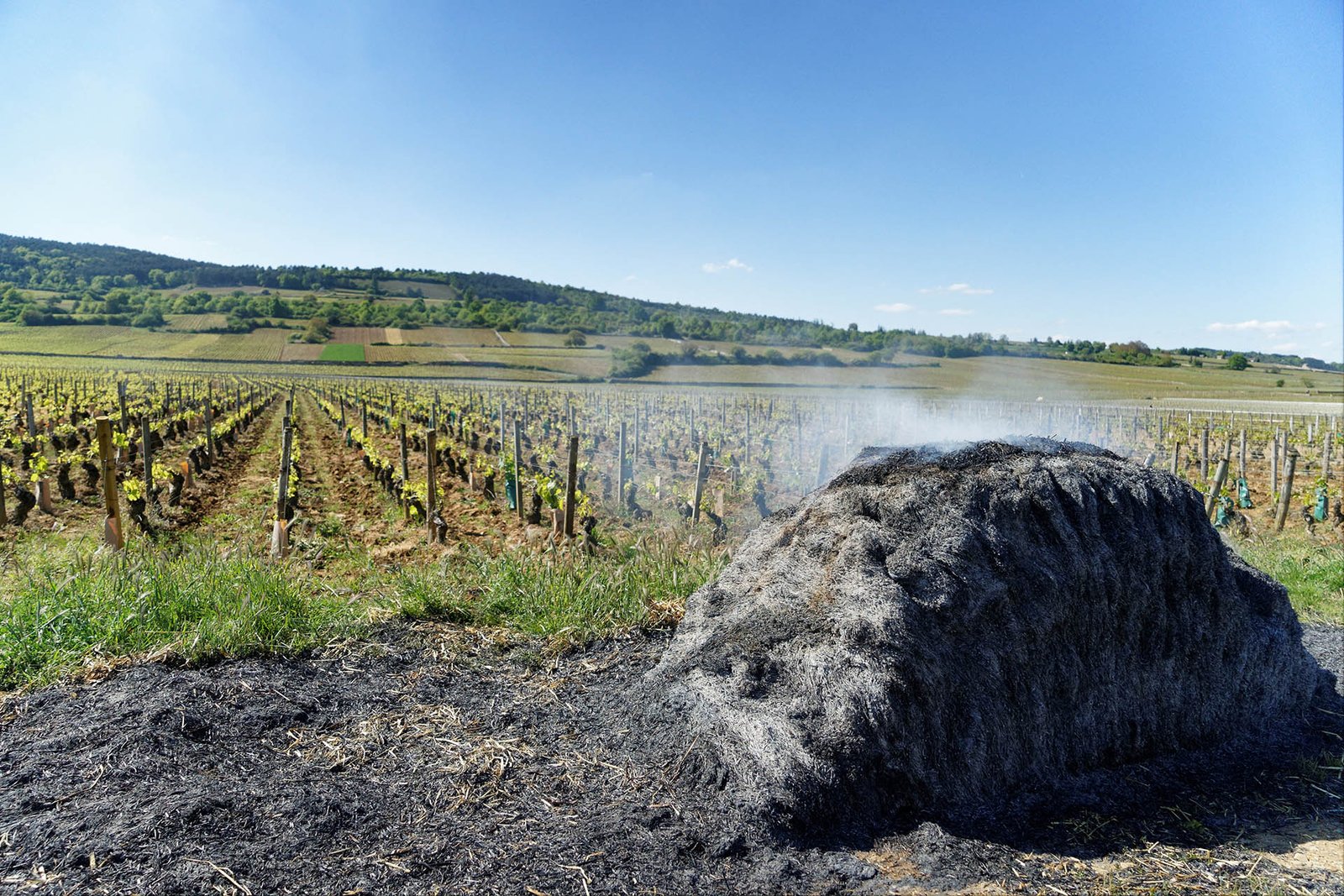HERO_French_Frosts_GettyImages-677980938_1920x1280-1.jpg