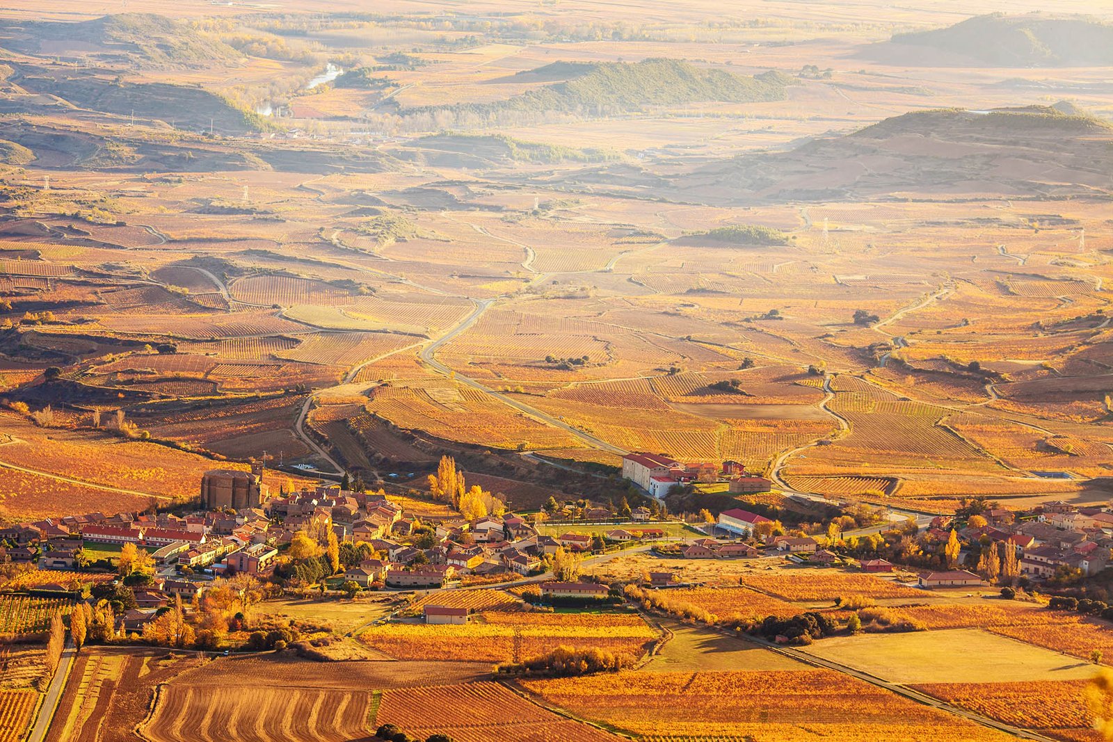 Rioja_in_Spain_GettyImages-62682641_1920x12801.jpg