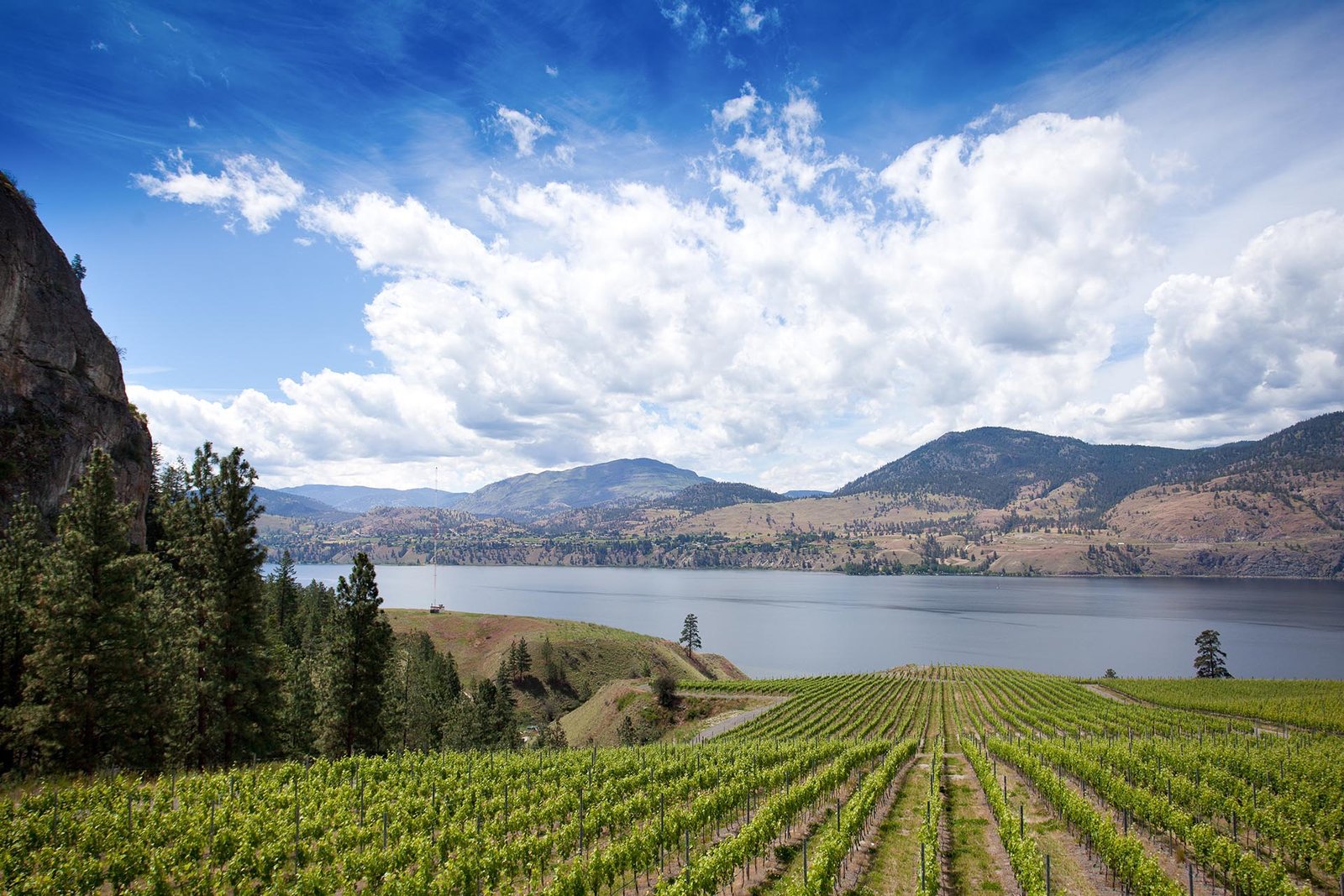 Okanagan_Falls_Credit_Wines_of_British_Colombia.jpg