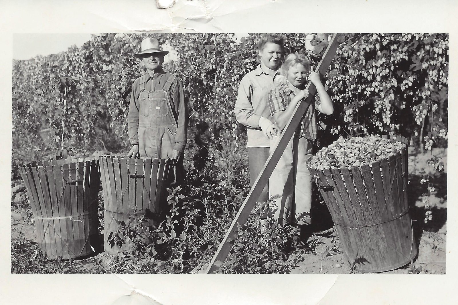 Harvesting_Hops_Carl_Goschie_founder_hand_harvesting_to_hop_basket_c_1935_Credit_Goschie_Farms_1920x1280.jpg