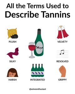 Tannins_infographic_Lani_Kemp_1920x2400-1.jpg