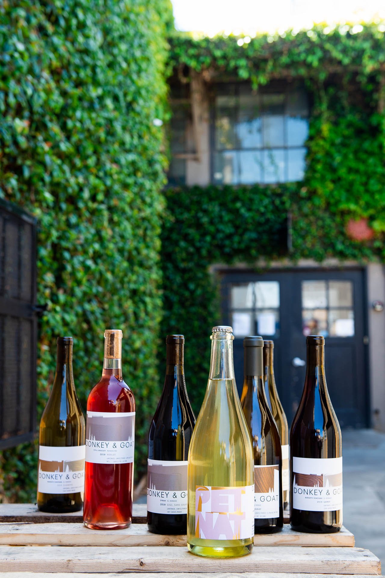 Doneky__Goat_Location-Donkey-Goat-Winery_-Wines-2020-Syrah-Fenaughty-Vineyard-2020-Gigi-Sans-Soufre_credit_Sari_Blum_1280x1920.jpg