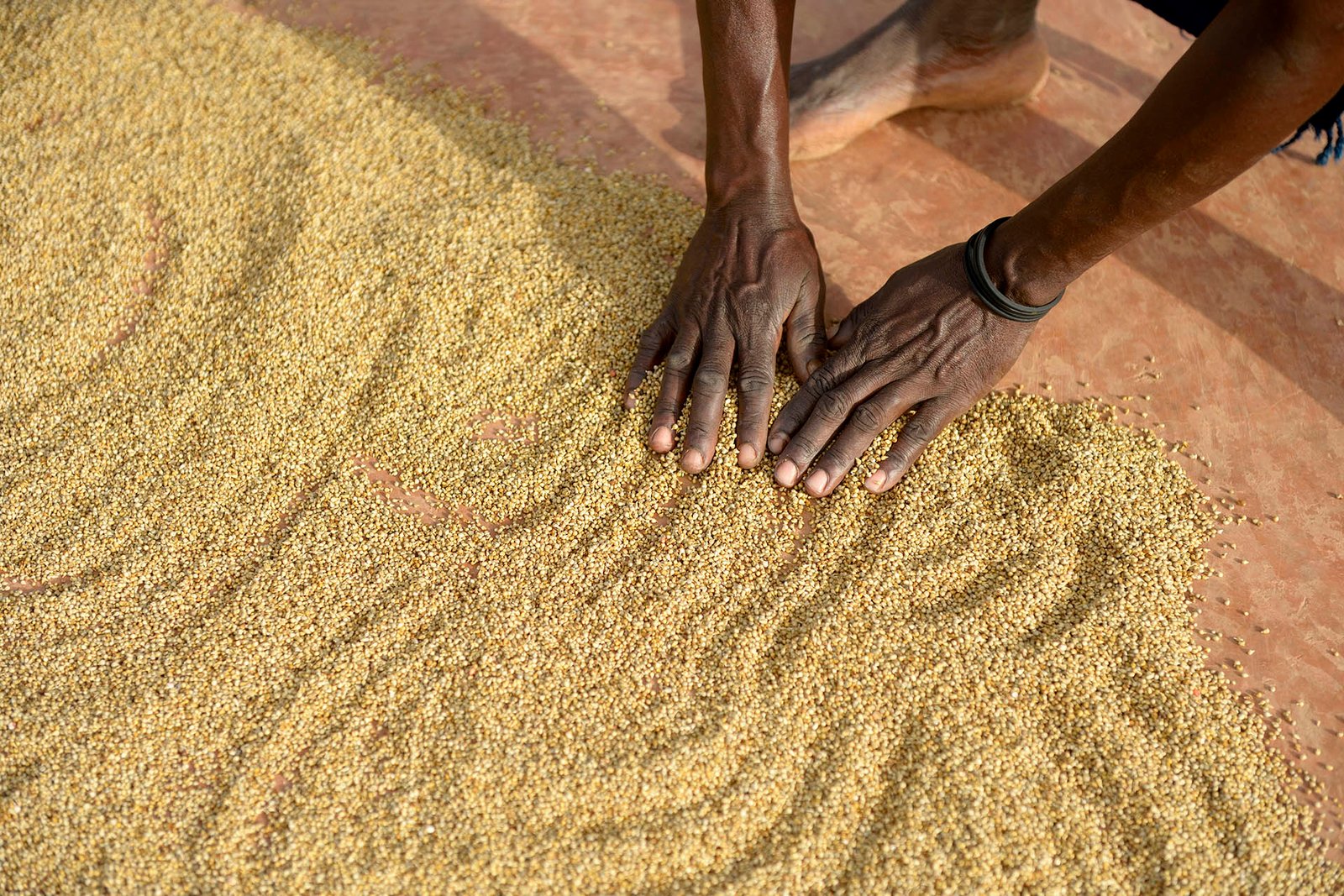 Sorghum_Grains_GettyImages-726800873_1920x1280.jpg