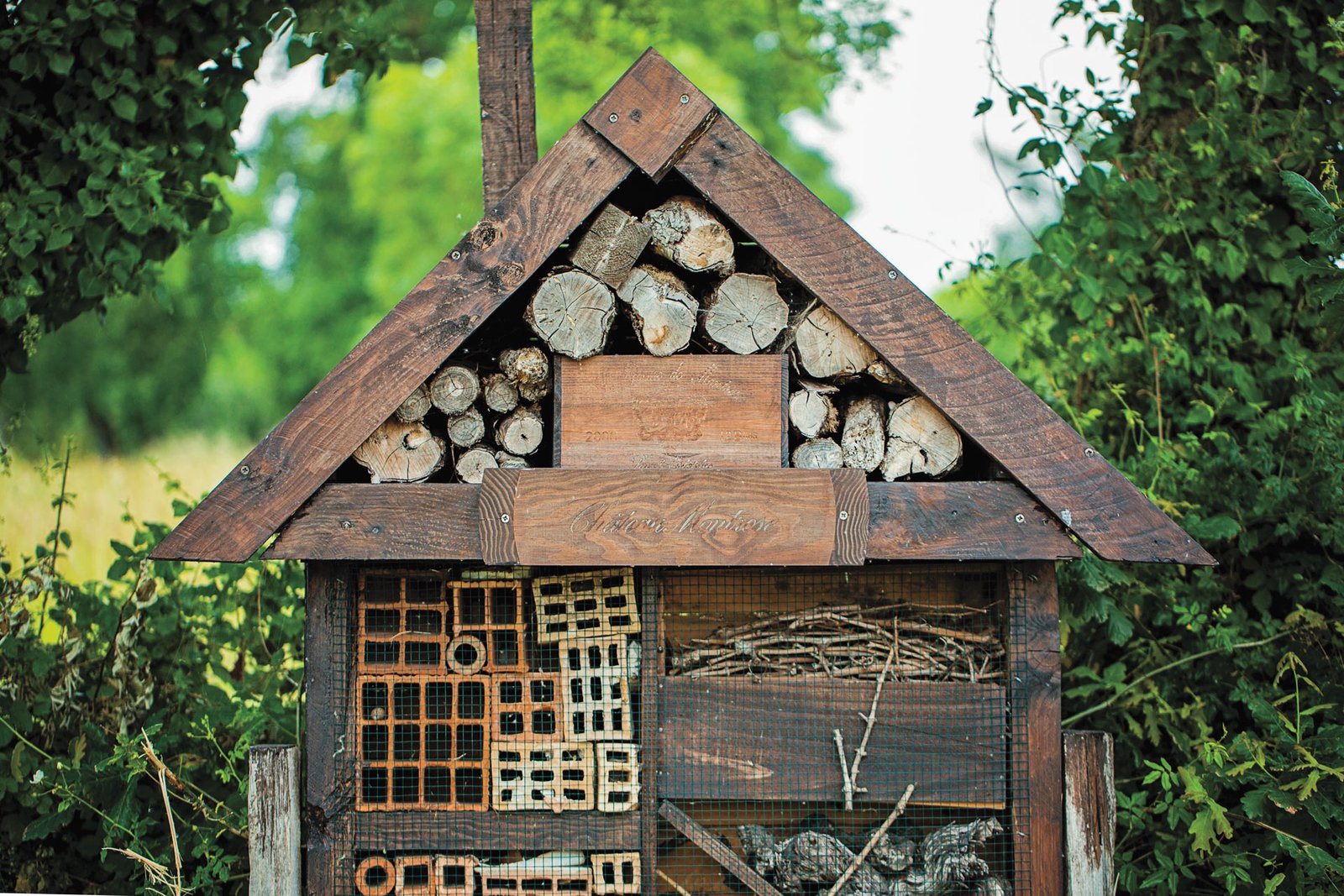 Battle_Bordeaux_Insect_House_Château_Montrose_Credit_Château_Montrose_1920x1280.jpg