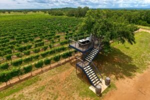052022_Treehouse_Tasting_Sandy_Road_Vineyards_SRV_Treehouse_From_Air_2021_Photo_Bryan_Chagoly_Sandy_Road_Vineyards_1920x1280.jpg