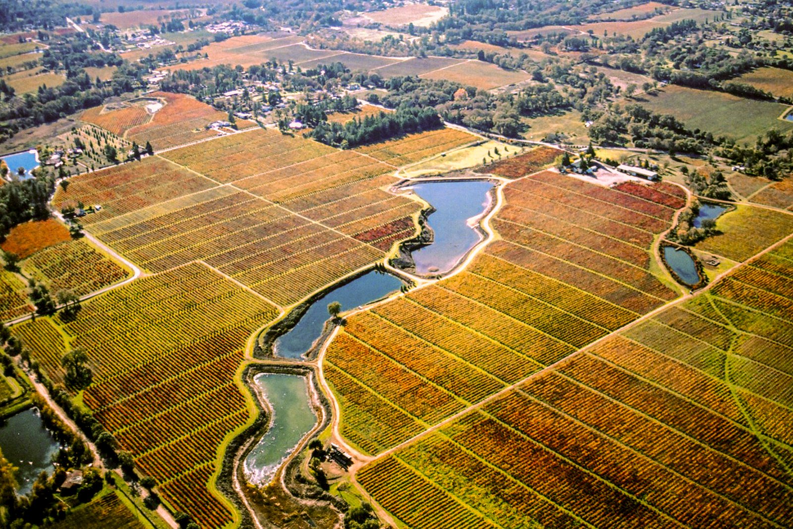 07_22_Mendo_Italia_INSET_Barra_Ponds_Vineyards_1920x1280.jpg